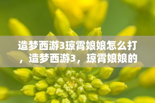 造梦西游3琼霄娘娘怎么打，造梦西游3，琼霄娘娘的神秘传说