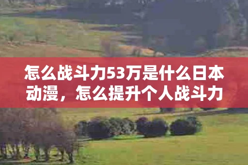 怎么战斗力53万是什么日本动漫，怎么提升个人战斗力，从自我认知到行动实践的全面指南