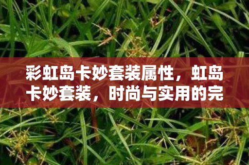 彩虹岛卡妙套装属性，虹岛卡妙套装，时尚与实用的完美结合