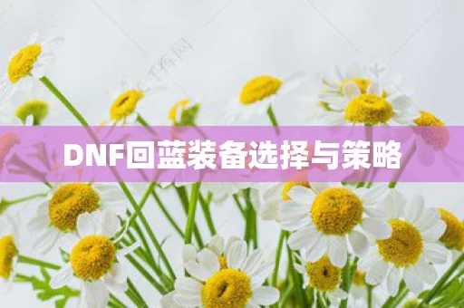 DNF回蓝装备选择与策略图片