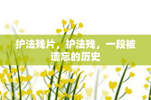 护法残片，护法残，一段被遗忘的历史