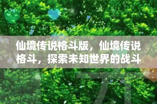仙境传说格斗版，仙境传说格斗，探索未知世界的战斗艺术