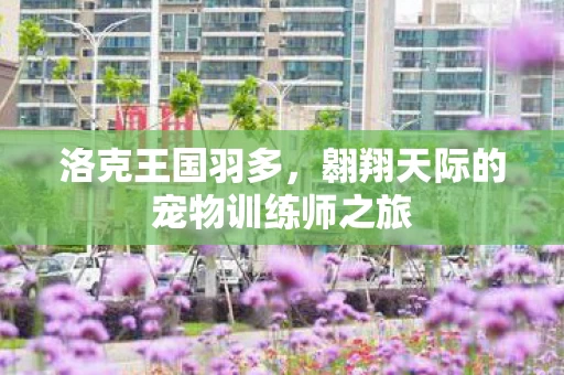 翱翔天际的宠物训练师之旅图片