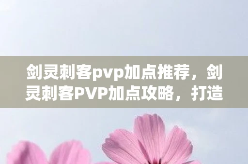 剑灵刺客pvp加点推荐，剑灵刺客PVP加点攻略，打造无敌战斗力的关键