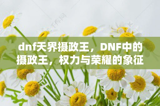 dnf天界摄政王，DNF中的摄政王，权力与荣耀的象征