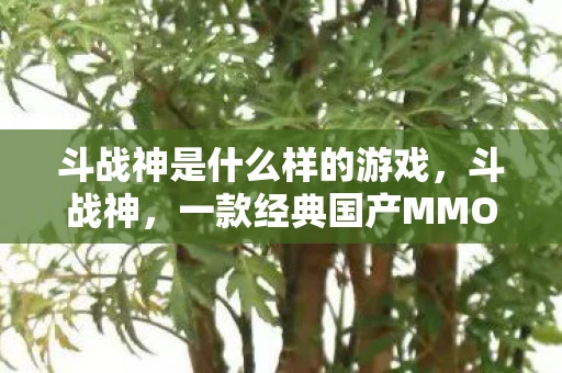斗战神是什么样的游戏，斗战神，一款经典国产MMORPG的崛起与魅力