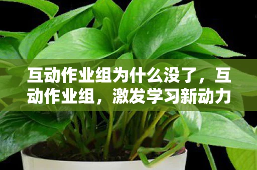 互动作业组为什么没了，互动作业组，激发学习新动力