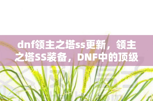 dnf领主之塔ss更新，领主之塔SS装备，DNF中的顶级挑战与荣耀