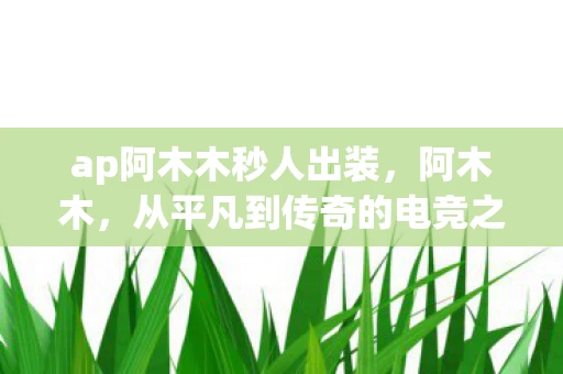 ap阿木木秒人出装，阿木木，从平凡到传奇的电竞之路