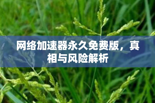 网络加速器永久免费版，真相与风险解析