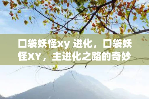 口袋妖怪xy 进化，口袋妖怪XY，主进化之路的奇妙之旅