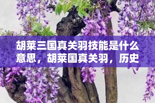 胡莱三国真关羽技能是什么意思，胡莱国真关羽，历史与传说的交汇