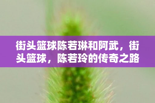 街头篮球陈若琳和阿武，街头篮球，陈若玲的传奇之路