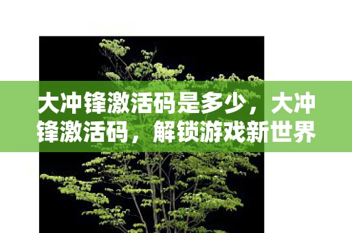 大冲锋激活码是多少，大冲锋激活码，解锁游戏新世界的钥匙