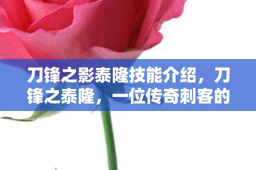 刀锋之影泰隆技能介绍，刀锋之泰隆，一位传奇刺客的崛起与陨落