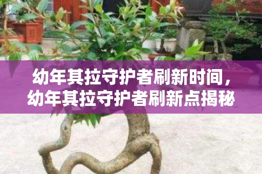 幼年其拉守护者刷新时间，幼年其拉守护者刷新点揭秘，探索神秘的地下城