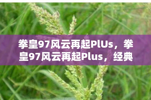 拳皇97风云再起PlUs，拳皇97风云再起Plus，经典再现，热血重燃