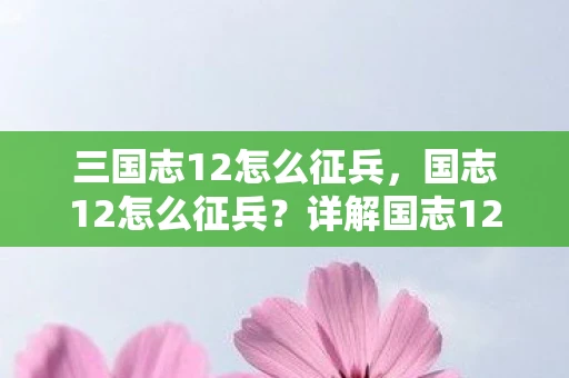三国志12怎么征兵，国志12怎么征兵？详解国志12征兵流程与策略