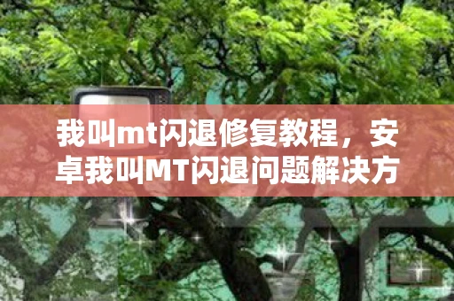 我叫mt闪退修复教程，安卓我叫MT闪退问题解决方案
