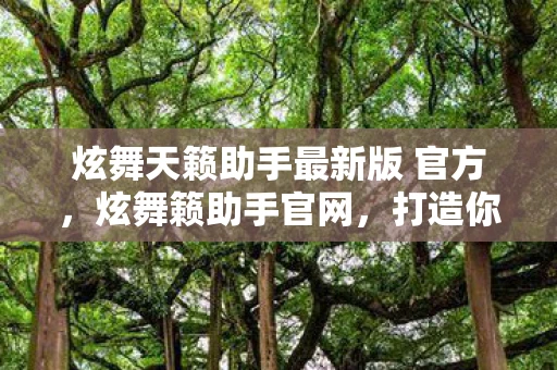 炫舞天籁助手最新版 官方，炫舞籁助手官网，打造你的音乐游戏新体验