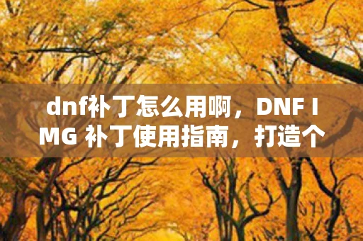 dnf补丁怎么用啊，DNF IMG 补丁使用指南，打造个性化游戏世界