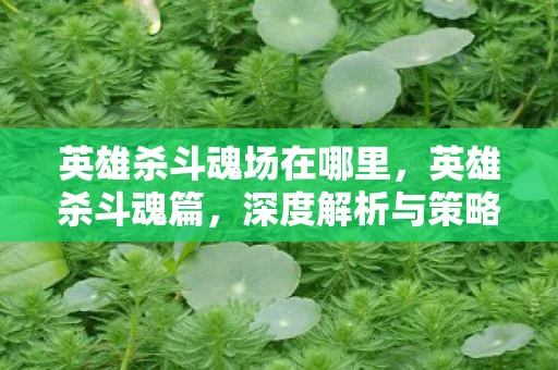 英雄杀斗魂场在哪里，英雄杀斗魂篇，深度解析与策略指南