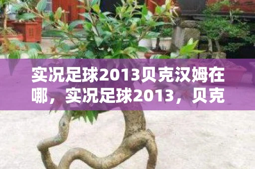 实况足球2013贝克汉姆在哪，实况足球2013，贝克汉姆的传奇之路