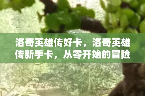 洛奇英雄传好卡，洛奇英雄传新手卡，从零开始的冒险之旅