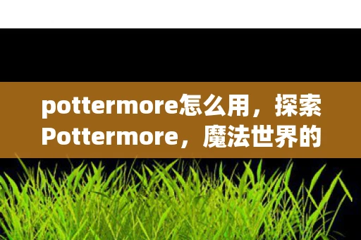 pottermore怎么用，探索Pottermore，魔法世界的互动之旅