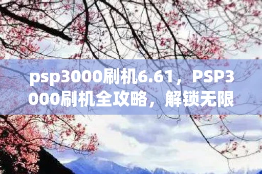 psp3000刷机6.61，PSP3000刷机全攻略，解锁无限可能，打造个性化游戏体验