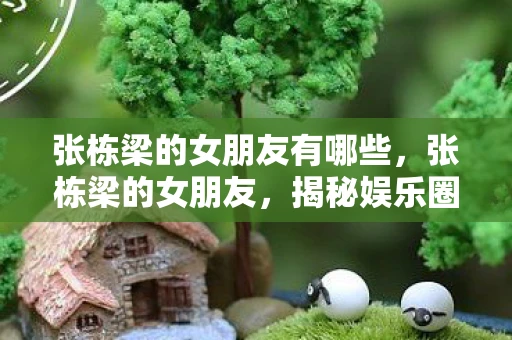 张栋梁的女朋友有哪些，张栋梁的女朋友，揭秘娱乐圈的甜蜜爱情