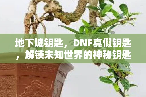 地下城钥匙，DNF真假钥匙，解锁未知世界的神秘钥匙