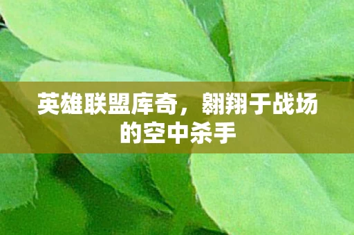 翱翔于战场的空中杀手图片