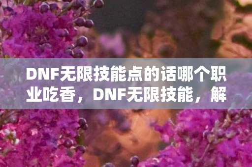 DNF无限技能点的话哪个职业吃香，DNF无限技能，解锁游戏新体验