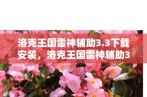 洛克王国雷神辅助3.3下载安装，洛克王国雷神辅助3.3下载，安全、高效的游戏工具