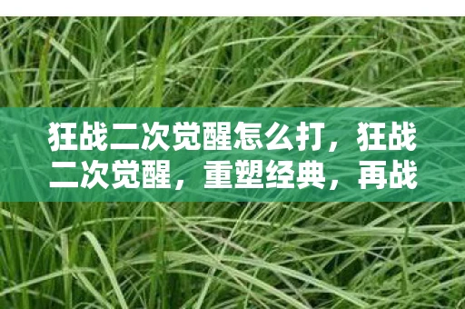 狂战二次觉醒怎么打，狂战二次觉醒，重塑经典，再战江湖