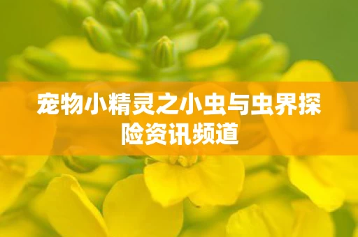 宠物小精灵之小虫与虫界探险资讯频道图片