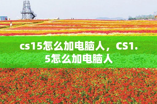 cs15怎么加电脑人，CS1.5怎么加电脑人