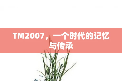 TM2007，一个时代的记忆与传承