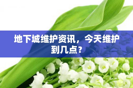 地下城维护资讯图片