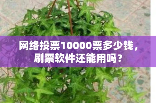 网络投票10000票多少钱，刷票软件还能用吗？