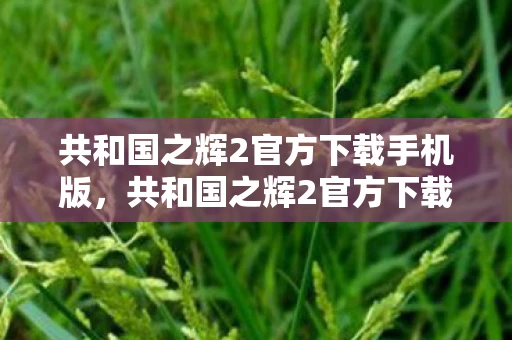 共和国之辉2官方下载手机版，共和国之辉2官方下载全解析