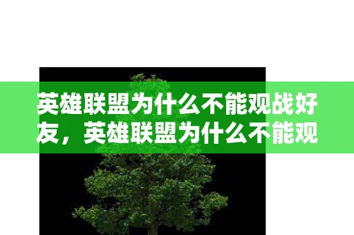 英雄联盟为什么不能观战好友，英雄联盟为什么不能观战？揭秘背后的原因与解决方案