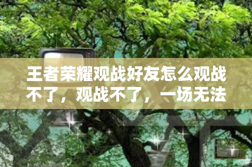 王者荣耀观战好友怎么观战不了，观战不了，一场无法亲临现场的体育盛宴