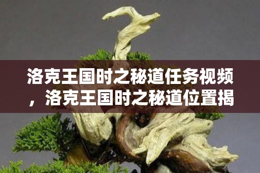 洛克王国时之秘道任务视频，洛克王国时之秘道位置揭秘