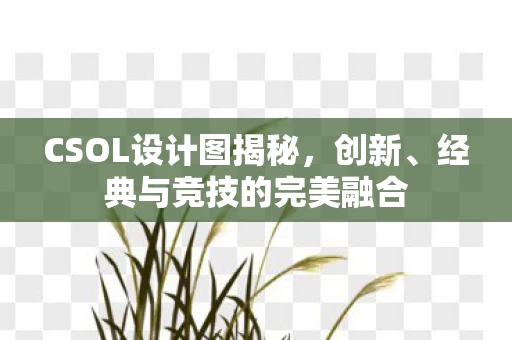 经典与竞技的完美融合图片