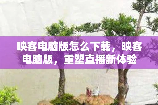 映客电脑版怎么下载，映客电脑版，重塑直播新体验