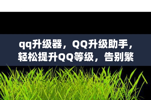 qq升级器，QQ升级助手，轻松提升QQ等级，告别繁琐操作！