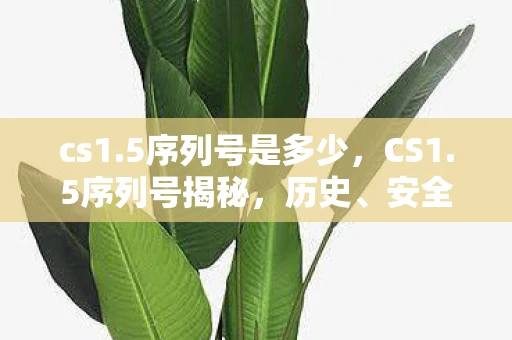 cs1.5序列号是多少，CS1.5序列号揭秘，历史、安全与法律风险