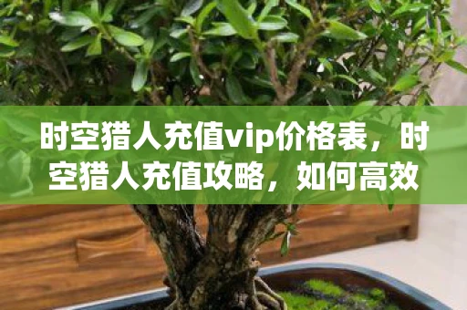 时空猎人充值vip价格表，时空猎人充值攻略，如何高效利用资源提升游戏体验